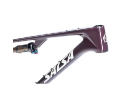Salsa Spearfish C DLX Bike Frame (Deep Orchid Carbon) (XS)