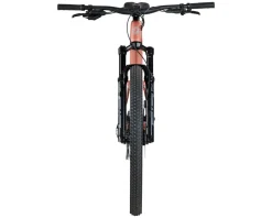 Salsa Spearfish C Eagle 90 Transmission Mountain Bike (Dusty Rose) (XS)