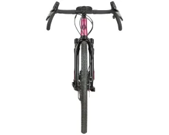 Salsa Stormchaser Apex Eagle SUS Gravel Bike (Berry) (56cm)