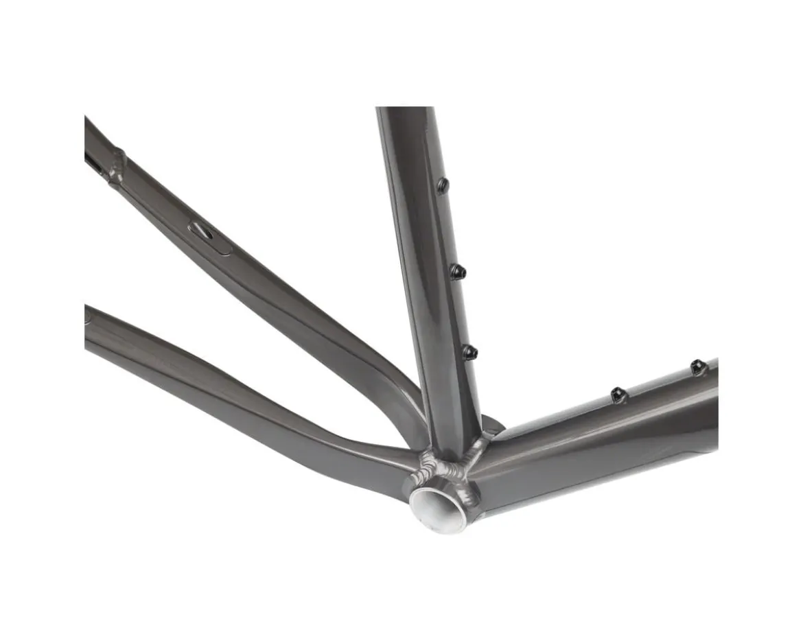 Salsa Stormchaser Gravel Frameset (Metallic Black) (49cm)