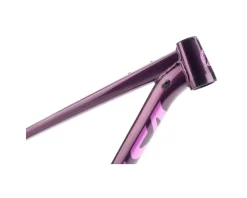 Salsa Timberjack Frame (Deep Orchid) (29/27.5