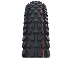 Schwalbe Albert Tubeless Mountain Tire (Black) (29") (2.5") (Addix Soft/Gravity PRO) (Radial)