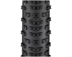 Schwalbe Racing Ralph HS490 Tubeless Mountain Tire (Black) (29") (2.25") (Addix/TwinSkin) (Performance Line)