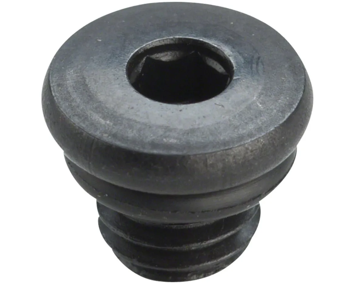 Shimano Bleed Port Screw & O-Ring (XT/SLX)