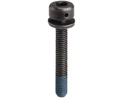 Shimano Flat Mount Disc Brake Caliper Fixing Bolts (Black) (31.8mm)