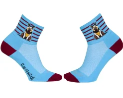 Sockguy 3