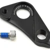 Specialized Amazinger 2.1 Derailleur Hanger (w/ Bolt)