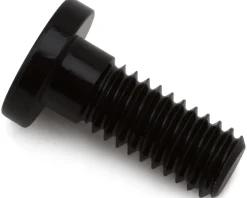 Specialized Turbo Connect Unit Mounting Bolt (Black)