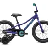 Specialized Riprock Coaster 16" Kids Bike (Purple/Blue) (16")