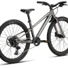 Specialized Riprock 24" Kids Mountain Bike (Gloss Smoke/Fjord Metallic) (24")