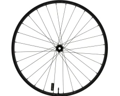 Specialized Roval Control Alloy 350 29