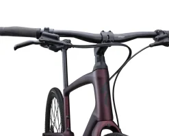 Specialized Sirrus X 5.0 (Red Tint/Carbon/Black Reflective) (L)