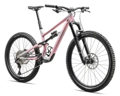 Specialized Status 140 2 (Satin Cool Grey/Desert Rose) (S5) (2025)
