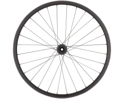 Specialized Traverse HD 350 Wheel (Carbon/Black) (Front) (15 x 110mm (Boost)) (29
