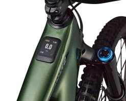Specialized Turbo Levo 4 Expert (Gloss Cypress Metallic/Silver Dust) (S2)