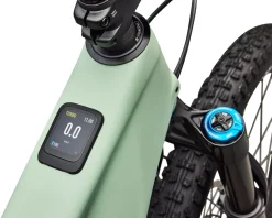 Specialized Turbo Levo R Expert (Satin Pistachio/Dark Moss Green) (S3)