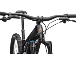 Specialized Turbo Levo R Expert (Gloss Carbon/Burnt Gold Metallic) (S1)