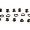 SRAM Aeroguard Chainring Bolt Kit (5)