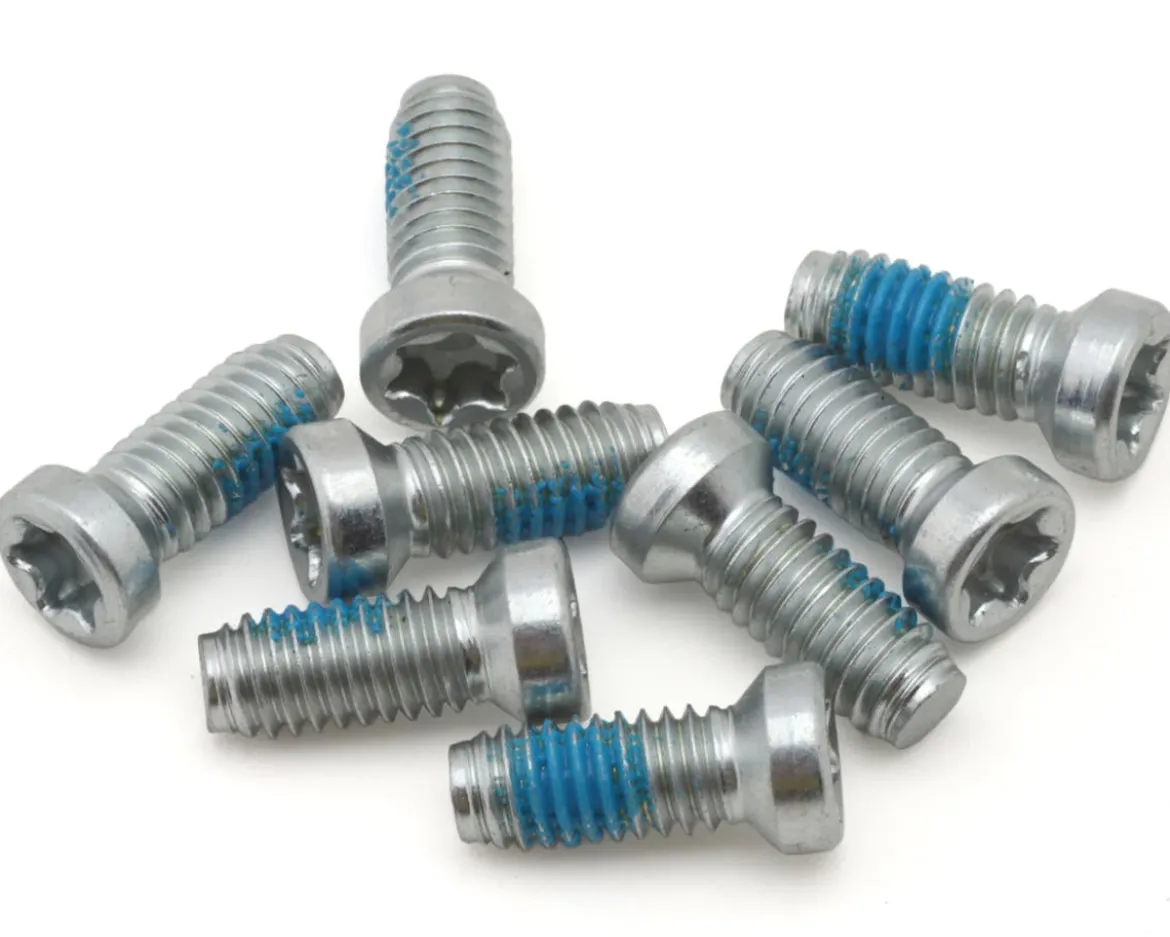 SRAM Crank Spider Torx Bolt Kit (Silver) (T20) (8)