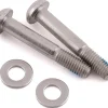 SRAM & Avid Flat Mount Caliper Bracket Bolts (Silver) (T25) (Pair) (32mm) (Stainless Steel)