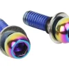 SRAM Disc Brake Caliper Mounting Bolts (Rainbow) (Stainless)