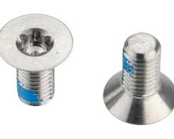 SRAM Flat Mount Hardware (5mm) (Titanium) (T25) (Pair)