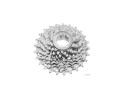 SRAM PG-1070 Cassette (Silver) (10 Speed) (Shimano HG) (11-25T)