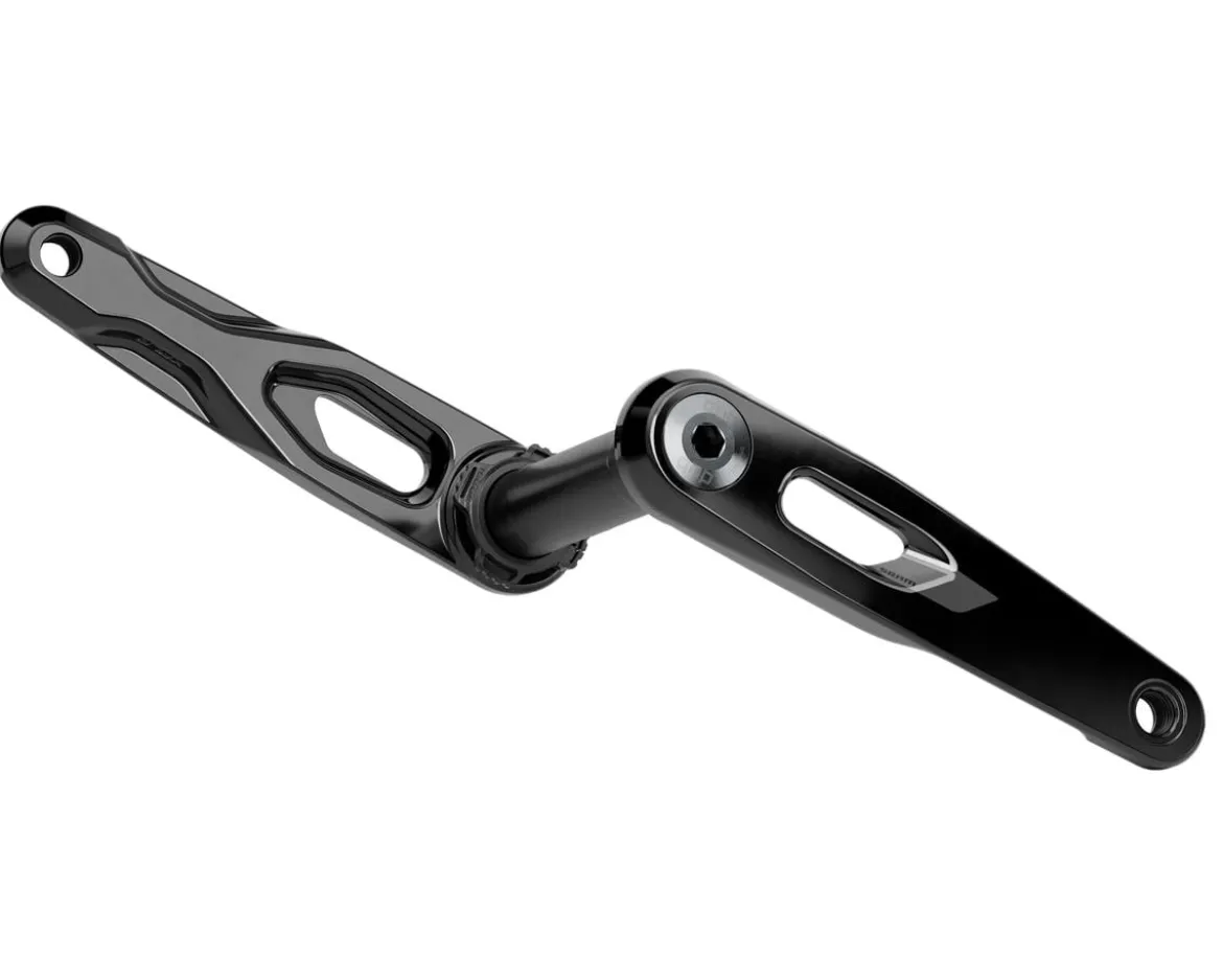 SRAM Rival Crank Arm Assembly (Black) (DUB) (160mm) (E1)