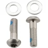 SRAM Titanium Flat Mount Disc Caliper Bracket Bolts (Silver) (T25) (17mm)