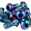 SRAM Titanium Rotor Bolt Kit (Rainbow) (T25) (Set of 12)
