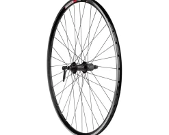 Sta-Tru Sport Rear Road Wheel (Black) (Shimano HG) (QR x 130mm) (700c)