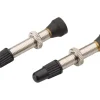 Sun Ringle STR Tubeless Valve Brass (Silver) (Pair) (35mm)