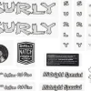 Surly Midnight Special Frame Decal Set (Silver w/ Record)