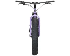 Surly Ice Cream Truck 26