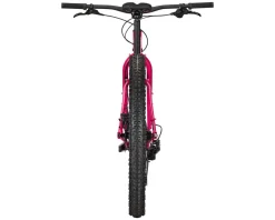 Surly Krampus 29" Rigid Mountain Bike (Prickly Pear) (L)