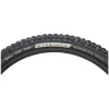 Teravail Warwick Tubeless Mountain Tire (Black) (29") (2.3") (Fast/Light & Supple)