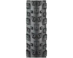 Teravail Warwick Tubeless Mountain Tire (Black) (29