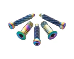 Terske Rear Derailleur Bolt Kit (Oil Slick) (Shimano A)