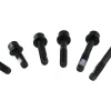 TRP Mounting Bolts for Flat Mount Rear Calipers (Black) (22mm)