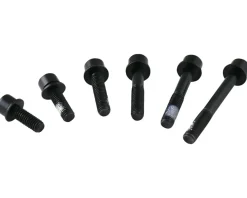 TRP Mounting Bolts for Flat Mount Rear Calipers (Black) (22mm)