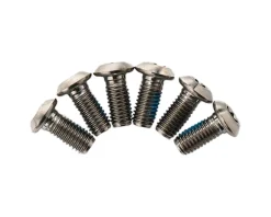 TRP Titanium Rotor Bolts (6 Pack) (T25)