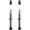 Vittoria Singleway Tubeless Brass Valve (Silver/Black) (Pair) (60mm)