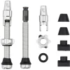Wolf Tooth Components Tubeless Valve Stem Kit For Clik Valve (Raw Silver) (44mm)