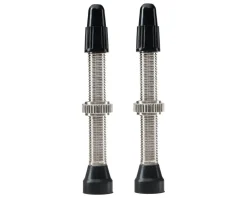 WTB TCS Standard Tubeless Valves (Silver) (Pair) (34mm)