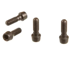 Zipp SL Sprint Faceplate Bolt Kit