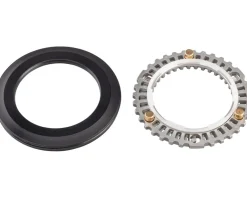 Zipp Cognition NSW Clutch Assembly and Seal (Rear Hub) (Disc Brake/Rim Brake) (Generation 2)