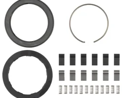 Zipp Spring & Pawl Set (ZM2 )