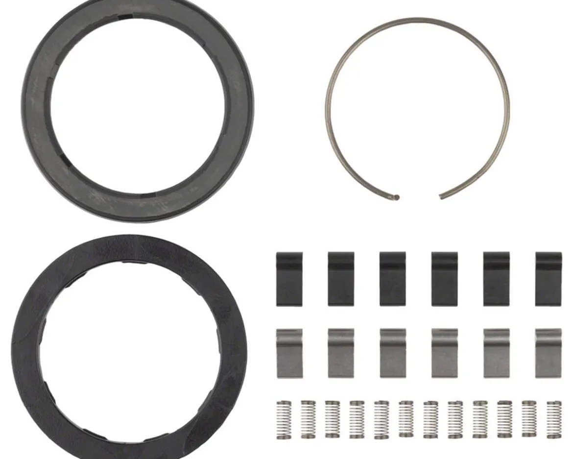 Zipp Spring & Pawl Set (ZM2 )