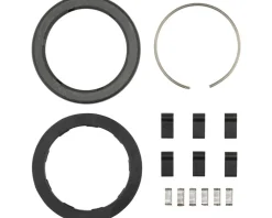 Zipp Spring & Pawl Set (ZR1)